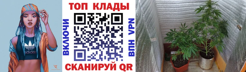 Наркошоп Камбарка Кокаин  Амфетамин  А ПВП  Каннабис  ГАШИШ 
