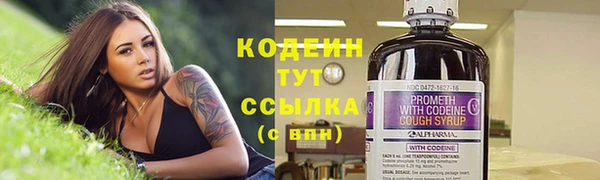 прущие грибы Нижневартовск
